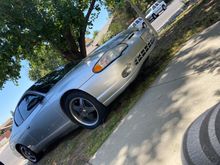 My Post Pictures