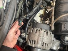 It doesn’t go to the alternator as there is a different plug for that but there’s not many other places it could reach.