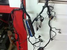 wiring harness that was put on a diet! (cutout all wiring i no longer needed)