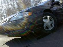 Picture 007
