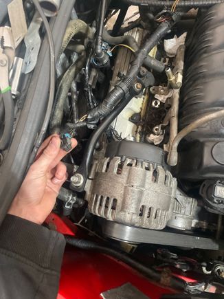 It doesn’t go to the alternator as there is a different plug for that but there’s not many other places it could reach.