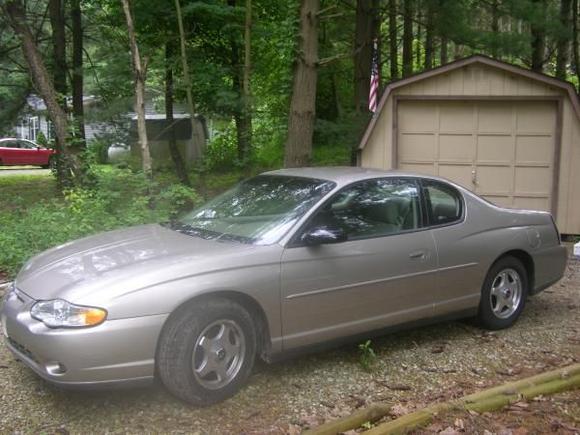 I need a garage to keep pine needles out of the hood, trunk and door cracks