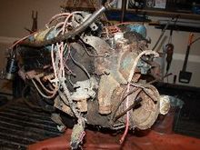 these aren't in any particular order, this is when I brought her home.