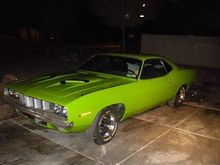 71 Barracuda's
