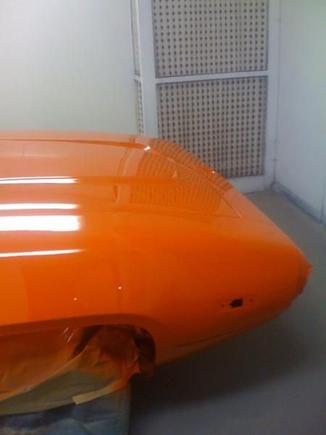 feb 2010
5 minutes after getting the last coat of paint.