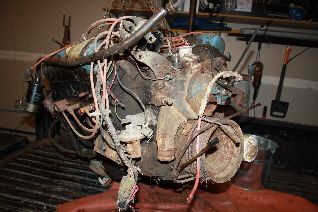 these aren't in any particular order, this is when I brought her home.