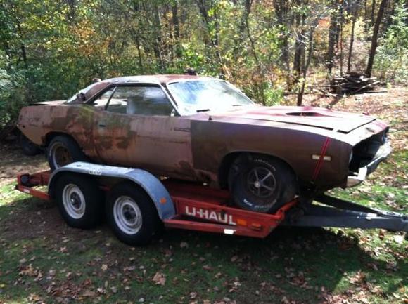 Fresh out of the grass !