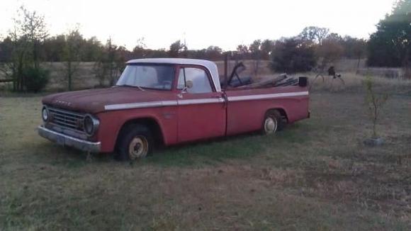 this actually makes a great back ground for a picture