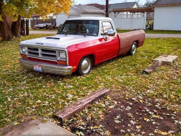 1003539 452049304914171 1664032505 n