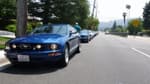 Team Shelby Cruise 2009