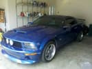 My Mustang
