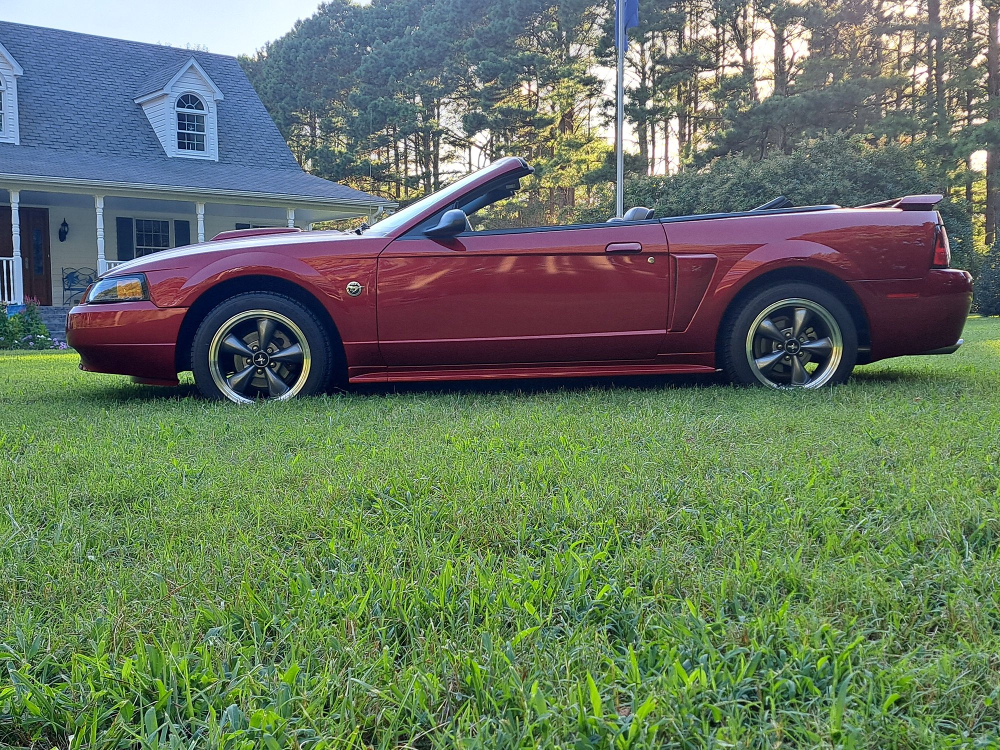 2004 Ford Mustang - 2004 Mustang GT Premium Convertible - Used - VIN 1FAFP45X54F102003 - 20,000 Miles - 8 cyl - 2WD - Manual - Convertible - Other - Exmore, VA 23350, United States