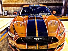 2016 Mustang GT Premium