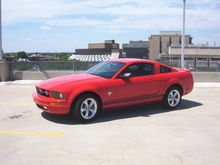 Mustang 036sm