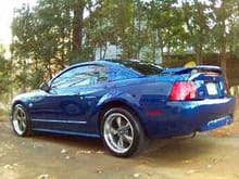 My stang