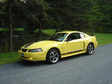 2003 zinc yellow Mach 1