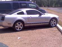 Mustang tint