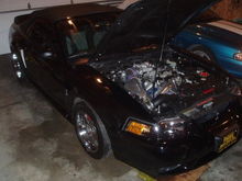Black Venom - 2001 Mustang Cobra 'Vert' w/Vortech