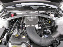 4.6L V8 from my 2010 Mustang GT