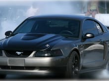 My Mustang2