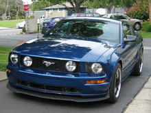 Mustang Front