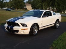 2008 Shelby (SOLD)