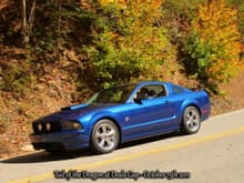 Tail of the Dragon 2011