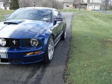 shelby3