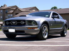 I purchased the Ford Mustang GT hood scoop at a local dealership in San Antonio and had them paint and install it. This was in January 2007.