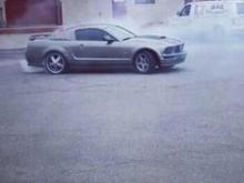 Steeda Stang