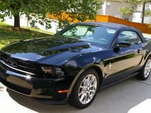 Mustang 069