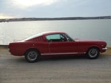 My 66 Stang Fastback