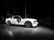 Whiteline S197 Mustang GT