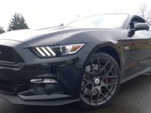 Mustang 2015 Performance Package TSW nurburgring