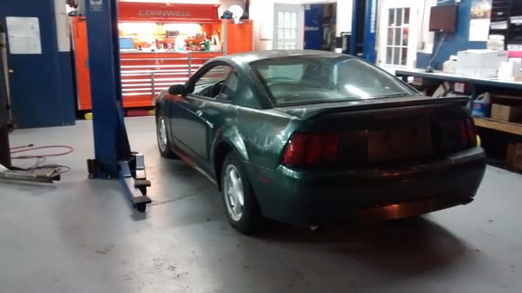 the week I bought the mustang