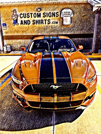 2016 Mustang GT Premium