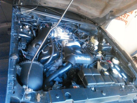 InTech In place