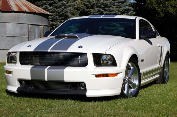 Shelby5