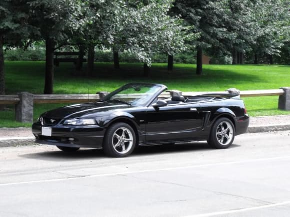 2000 Mustang GT Convertible