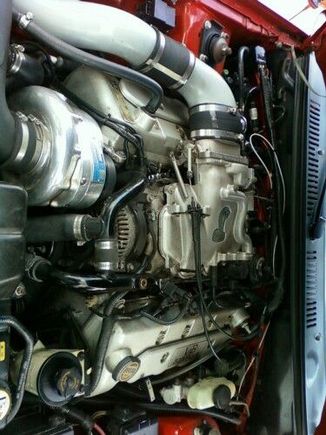 cobras motor, day 1