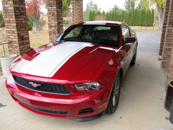 zulu45's 2011 Ford Mustang V6 Premium. Picture 2.