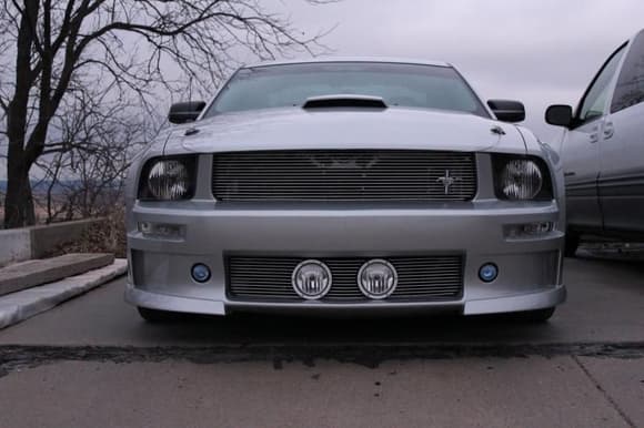 Mustang Straight on