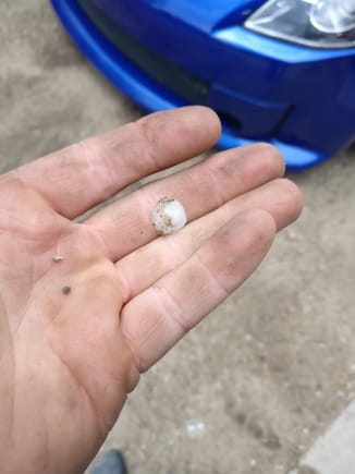 Yesterday the one darn hail stone bounced off the hood of my car as I was making room to work on a tractor