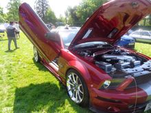 Gull winged door Mustang convertible