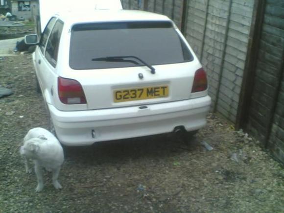 rear end with y staffi