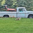 1968 Dodge D150  for sale $10,495 