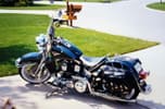 Collector Harley Davidson Softail Nostalgia FLSTN   for sale $12,500 