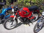 1980 Tomos Special Moped  for sale $1,695 