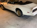 1979 Pontiac Firebird  for sale $38,000 