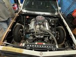 1981 Malibu   for sale $20,000 